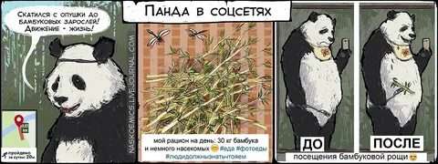 Панда пандемия слушать