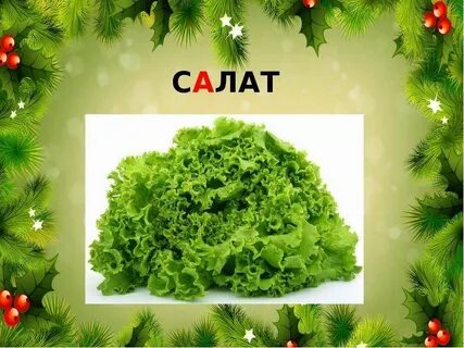 Слово растительный