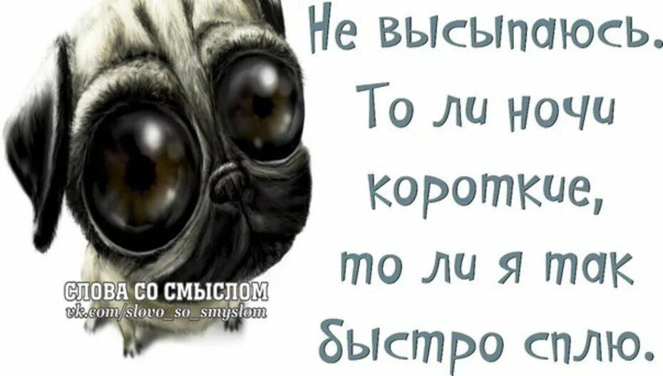 Слова со словом спи. Статусы со смыслом прикольные. Слова со смыслом в картинках прикольные. Весёлые статусы со смыслом. Смешные статусы со смыслом.