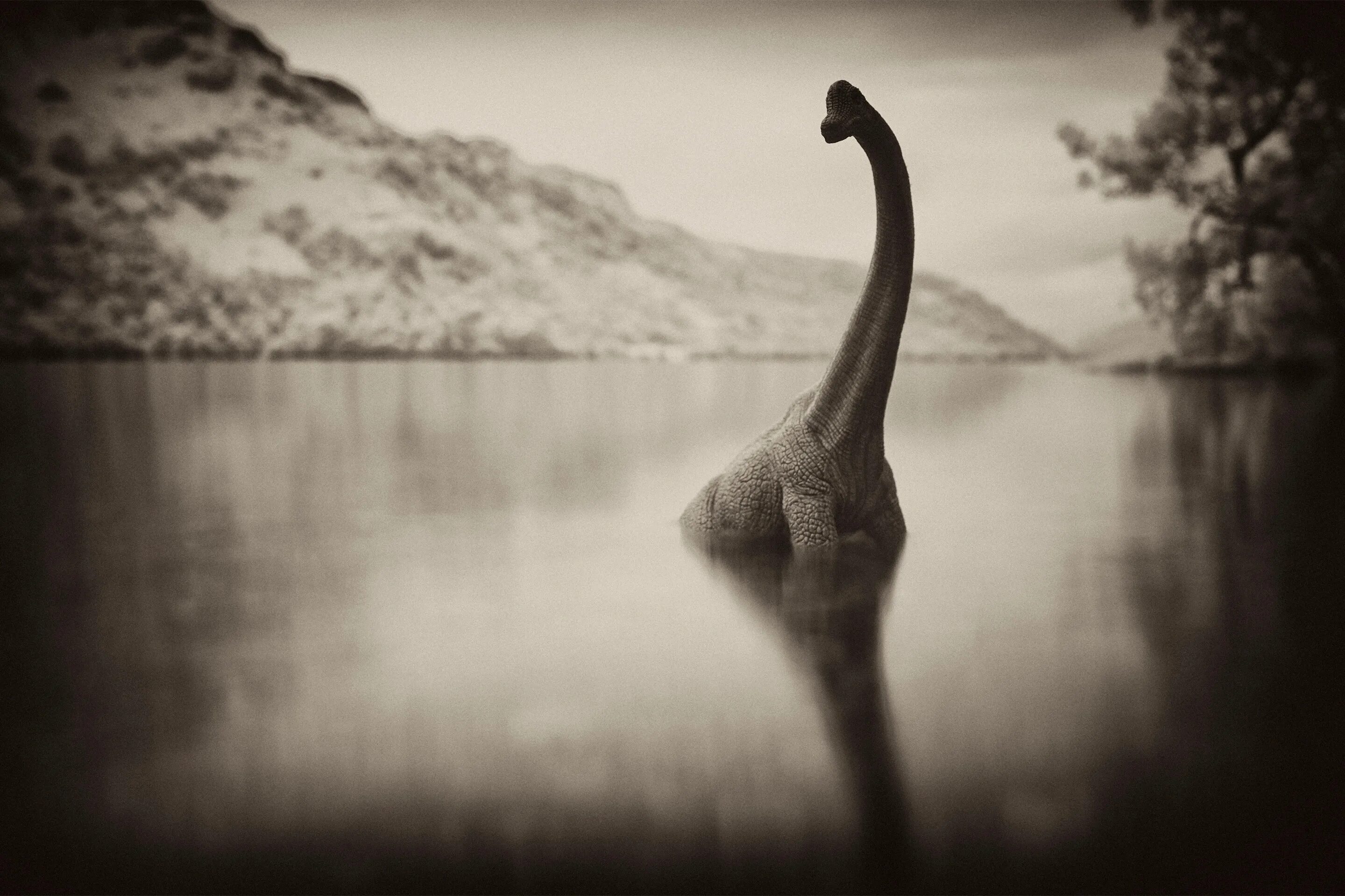 Несси. Чудовище несси в озере. Loch ness monster lives. Чудовище лох-несс лохнесское. Монстр озера лохнесс.