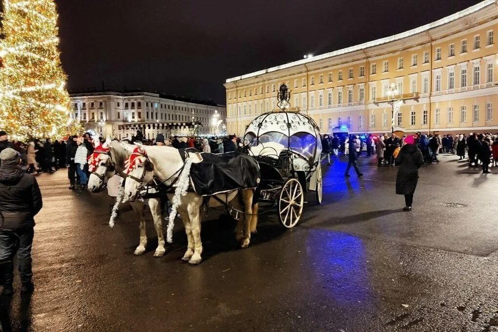 Карета в санкт петербурге. Карета в эрмитаже. карета в петербурге. дворцовые кареты.