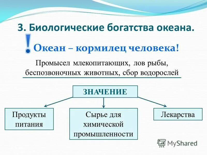 типы биоразнообразия. направления эволюции таблица биологический прогресс. три биологический. что изучает биология 3 класс. что изучает физико химическая биология.