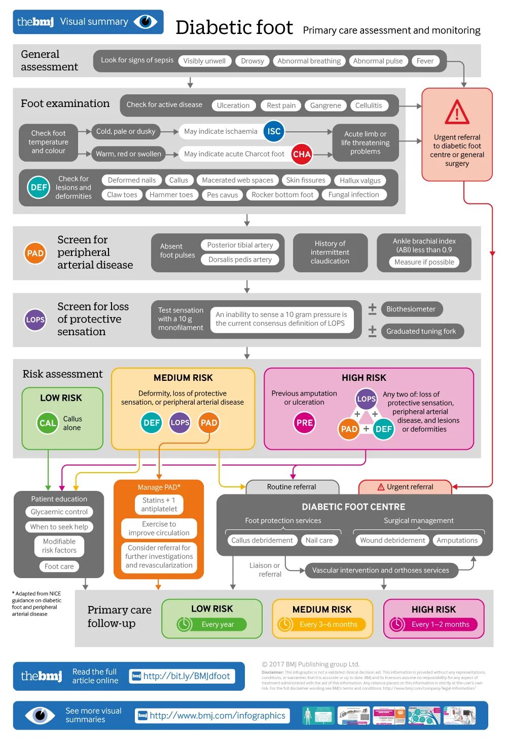Research summarized in a visual display