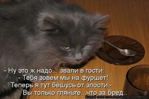 Приходи не надо не зови
