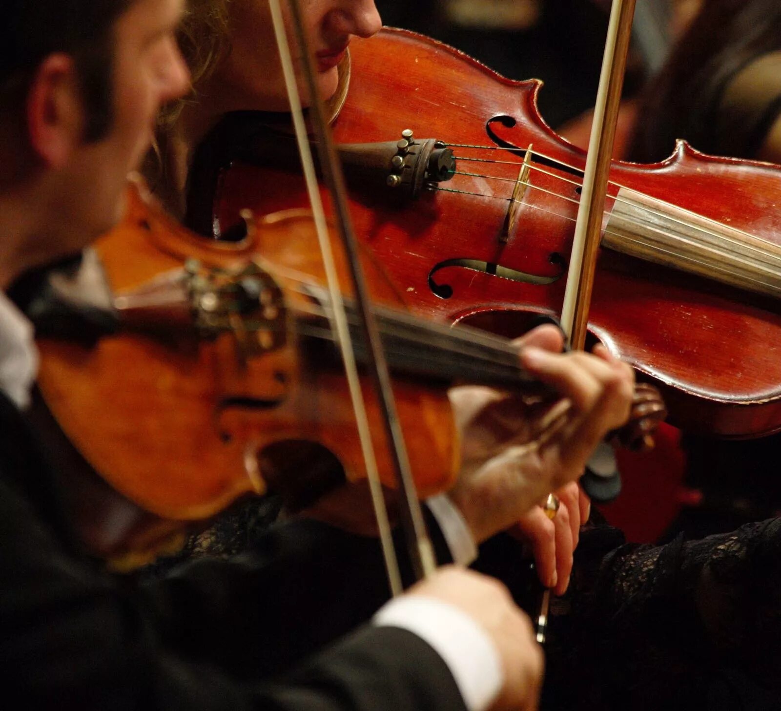 государственный квартет имени бородина. партия бассо континуо. музыканты оркестра. классика жанра определение в музыке. классика жанра это в музыке.