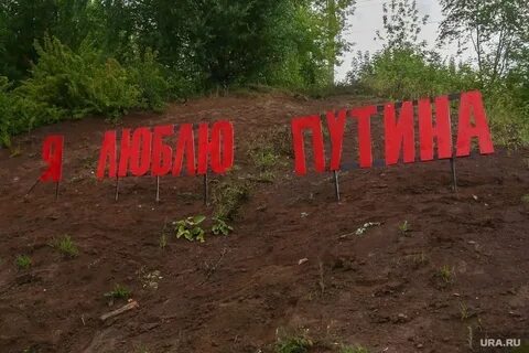 Появление надписи