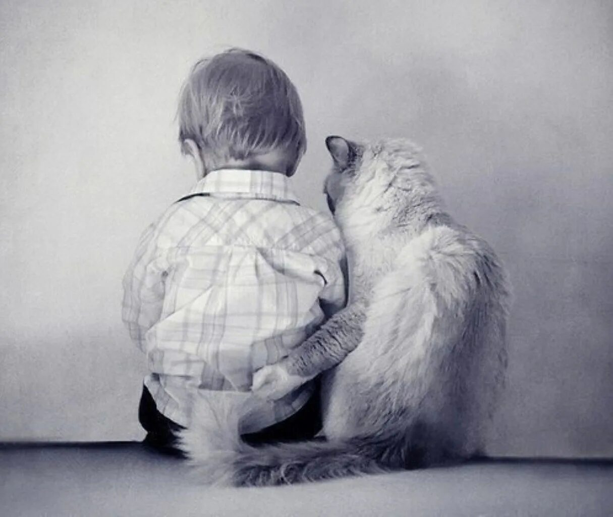Рядом со мной кот. Ребенок обнимает кота. мальчик обнимает кота. добрые объятия. поддержка в трудную минуту.