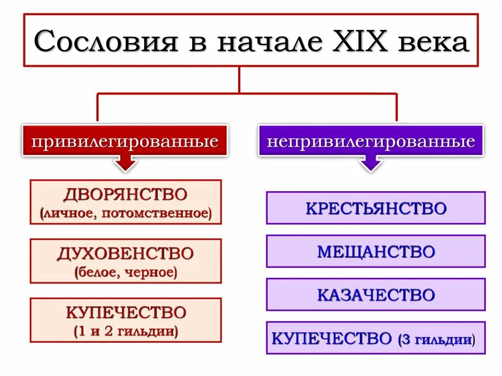 Сословная и экономическая политика. Сословия России 18 19 века. Сословия в конце 19 века. Сословия Российской империи в начале 20 века. Сословная структура российского общества в начале 19 века.