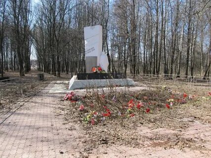 Поселок теплое