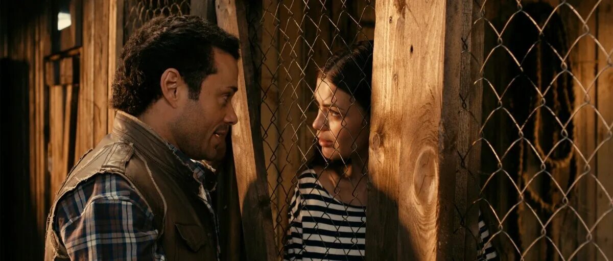 Укрощение строптивых 2009. Укрощение строптивых 2009. Укрощение строптивых 2009. Укрощение строптивой. Укрощение строптивой.