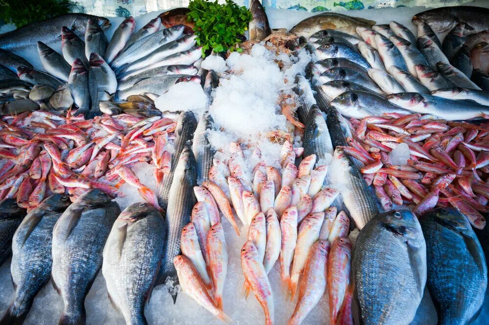 Рыба исключение. Рыба на рынке. Рыба в Волгограде. Много рыбы на прилавке. Свежая рыба на столе.