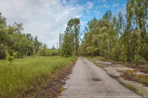 Лесничество припять