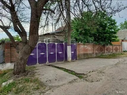 Нова полтава