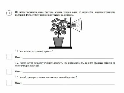 Жизнедеятельность растений как называют данный процесс
