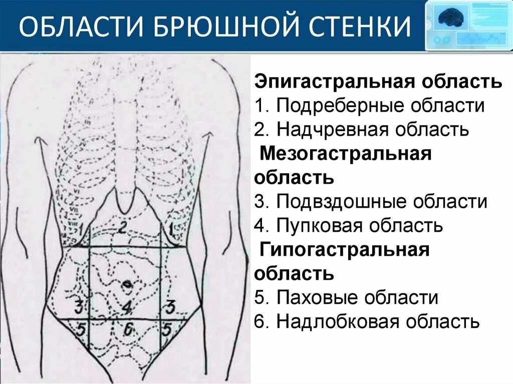 Сильная боль в подвздошной. Области передней брюшной стенки. Эпигастральной области живота. Подвздошная область.