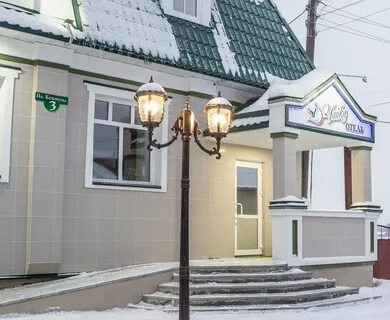 Гостиница чайка великий