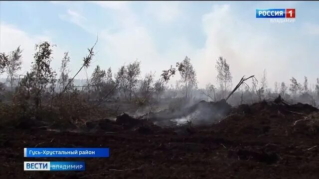 Гусь пожары