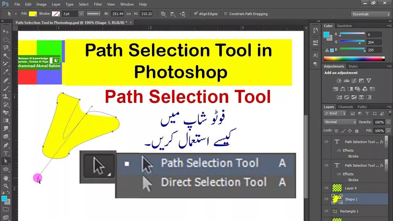 Selection tool. Direct selection Tool в фотошопе. Paths в фотошопе. Инструмент Path selection Tool в фотошопе. Type Tool в фотошопе.