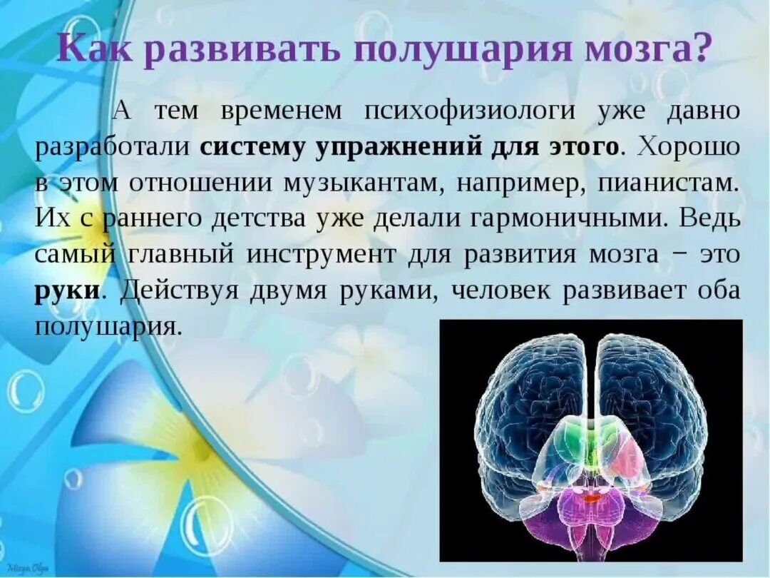 Развиваем полушария мозга. Развитие правого и левого полушария у детей. Для развития полушарий мозга детям. Развитые полушария мозга.