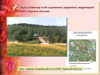 Тверской особо охраняемые природные территории