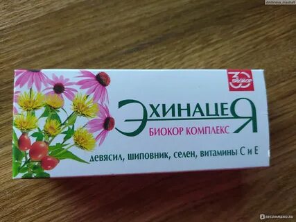 Биокор эхинацея