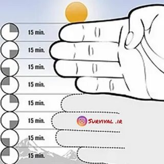 15 пальцев