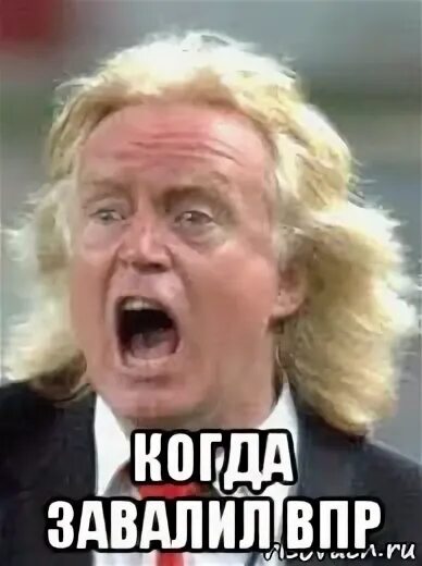 Мемы про впр. Впр мем. Шутки про впр. Мемы про впр. Мемы про впр.