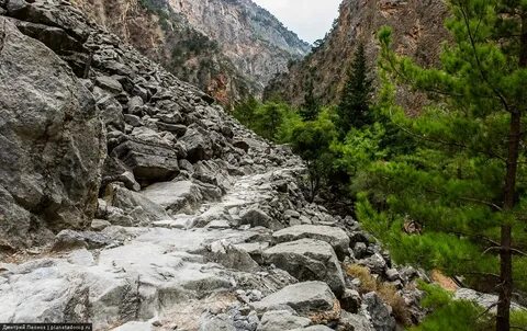 Крив горы