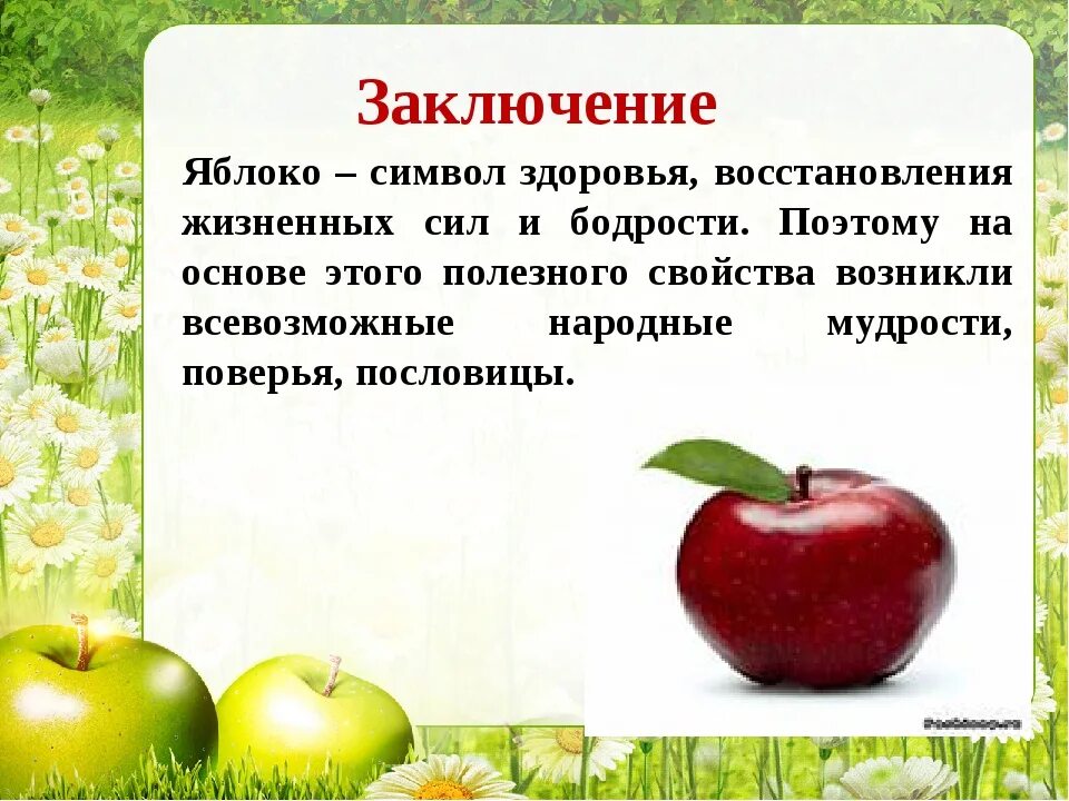 Яблоня жизненная форма