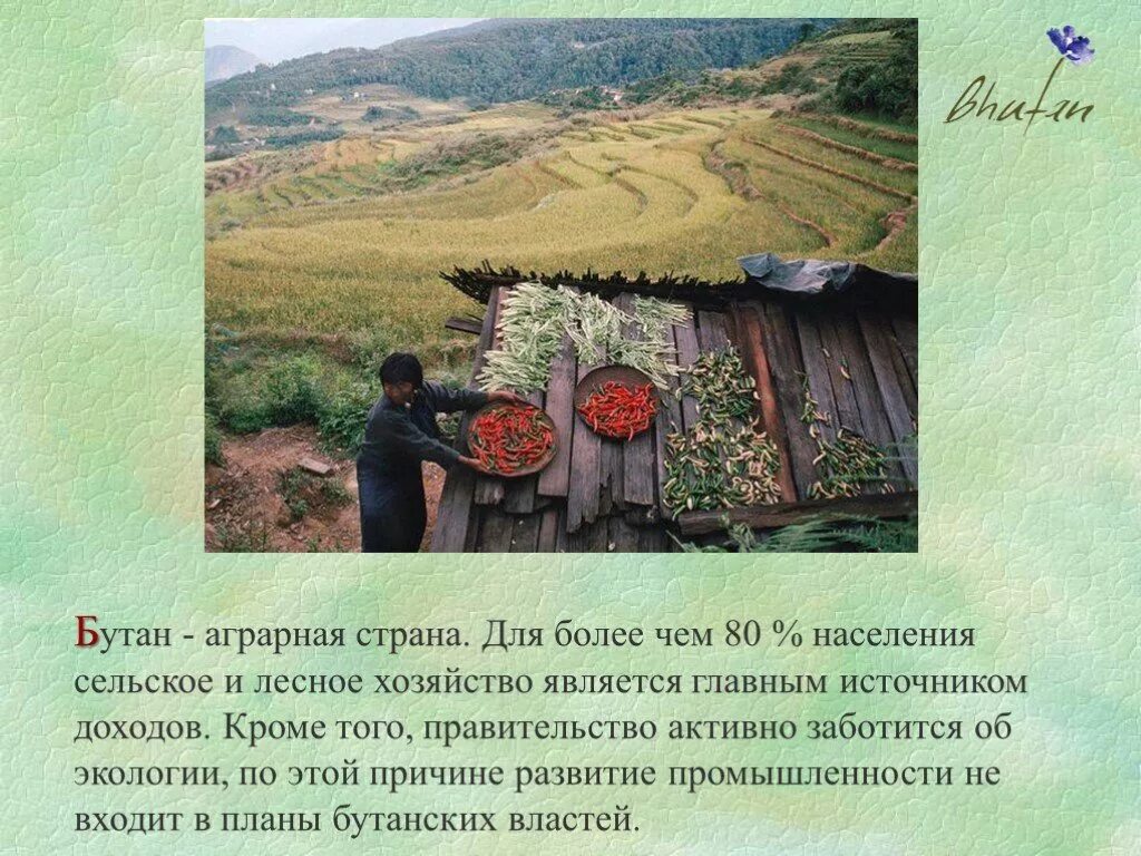 Сообщение о стране бутан. Бутан текст. Бутан страна на карте. Бутан текст. Рассказ про страну бутан.