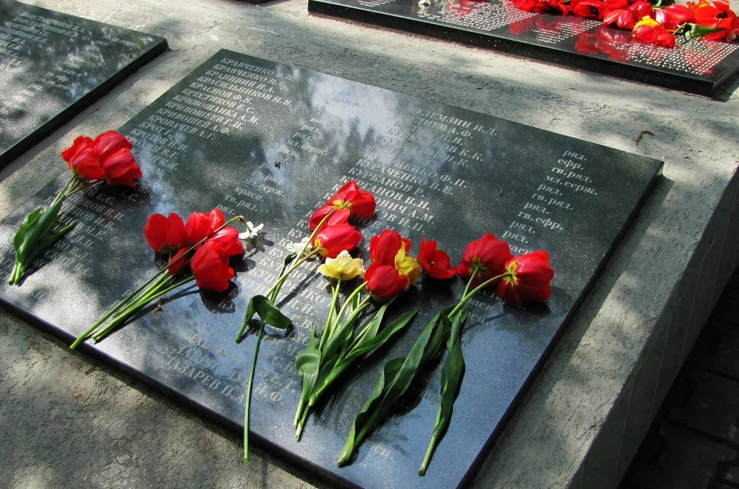 Сколько гвоздик на день победы