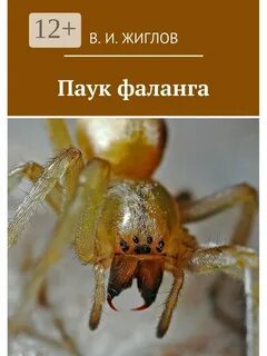 Паук книга