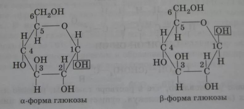 Структура Альфа Глюкозы. Циклическая формула Альфа Глюкозы. Альфа Глюкоза линейная формула. Структурная формула Альфа Глюкозы. Циклическая формула глюкозы