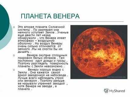 Сколько видов на планете сообщение