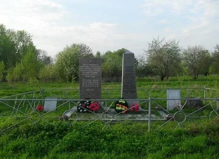 Деревня борки