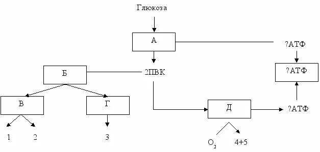 Общая схема расщепления Глюкозы. Общая схема энергетического обмена Глюкозы. Общая схема расщепления Глюкозы рис 53. Рассмотрите схему энергетического обмена Глюкозы.