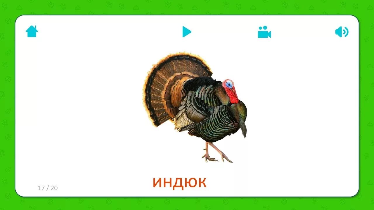 Звуковая схема слова индюк Конспект занятия по обучению грамоте детей с нарушениями речи. Тема Звук и буква