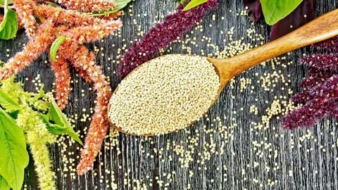 Амарантовая крупа польза и вред