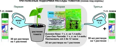 Первая подкормка рассады