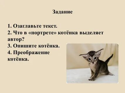 Изложение животные