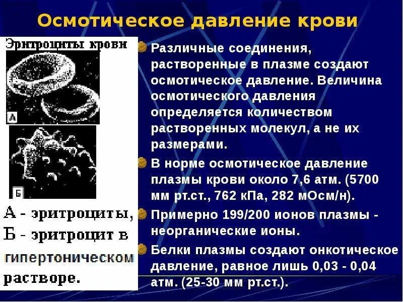 Роль онкотического давления