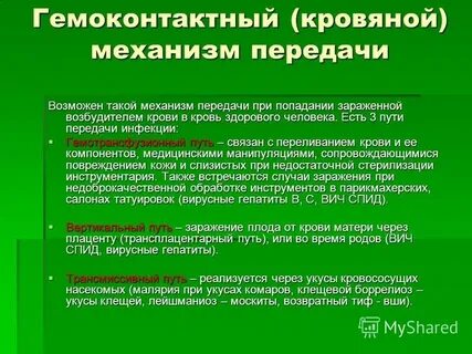 Гемоконтактные инфекции вич гепатиты