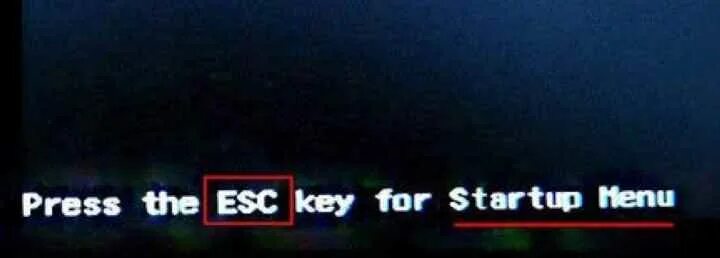 Press esc for startup menu. Монитор g2420. Press esc for startup menu. Press the esc key for startup menu. Перевод press the esc key for startup menu.