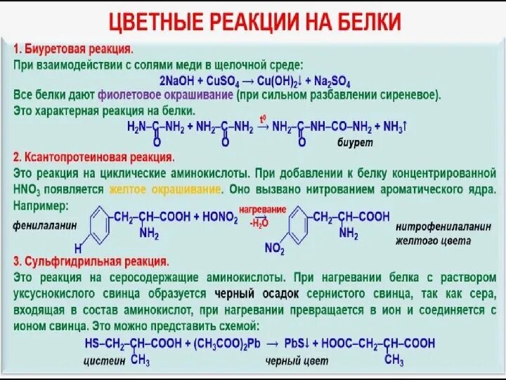 Проведите реакции с помощью которых можно доказать. Биуретовая реакция белок реакция. Биуретовая реакция на белок. Белки качественные реакции на белки. Биуретовая реакция на белок уравнение.