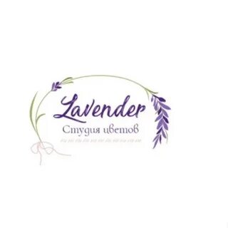 Lavender Lavender 