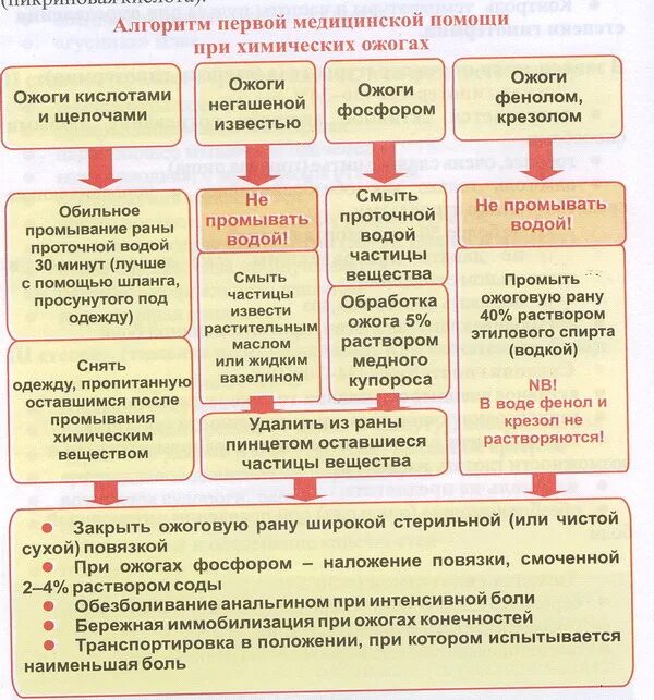 Первая помощь при ожогах едким веществом. Алгоритм оказания первой помощи при термических ожогах. Термический ожог алгоритм оказания первой помощи. Алгоритм оказания первой доврачебной помощи при химическом ожоге. Алгоритм оказания 1 помощи при термических ожогах.