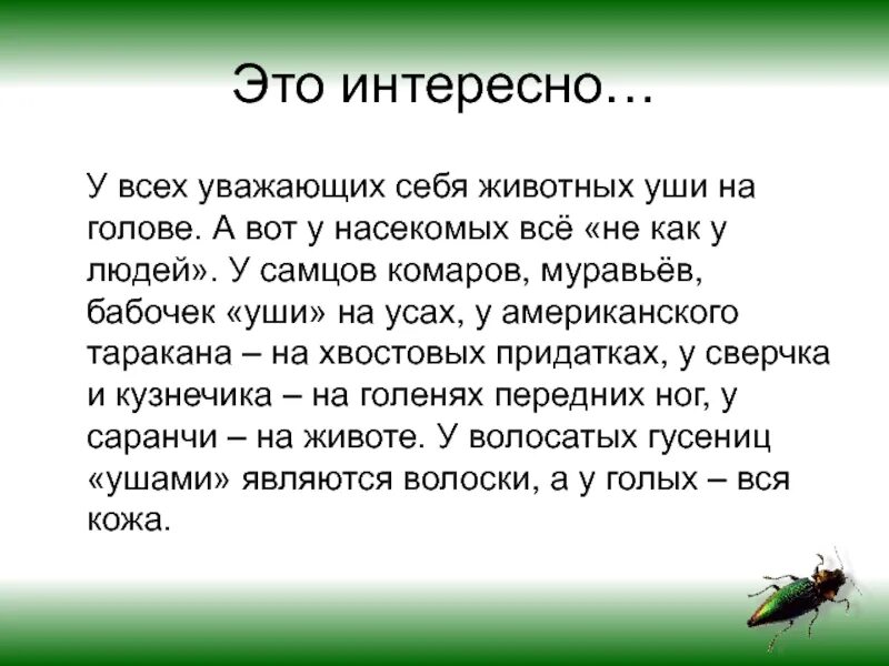 Слух людей и животных. Слух человека и животных сравнительная характеристика. интересные факты о ушах. интересные факты о слухе человека.