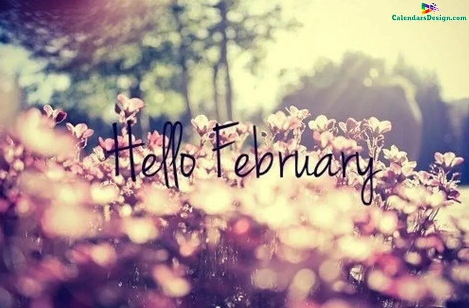 February красивая картинка. Хеллоу февраль. Хелло февраль картинка. Hello February красивые.