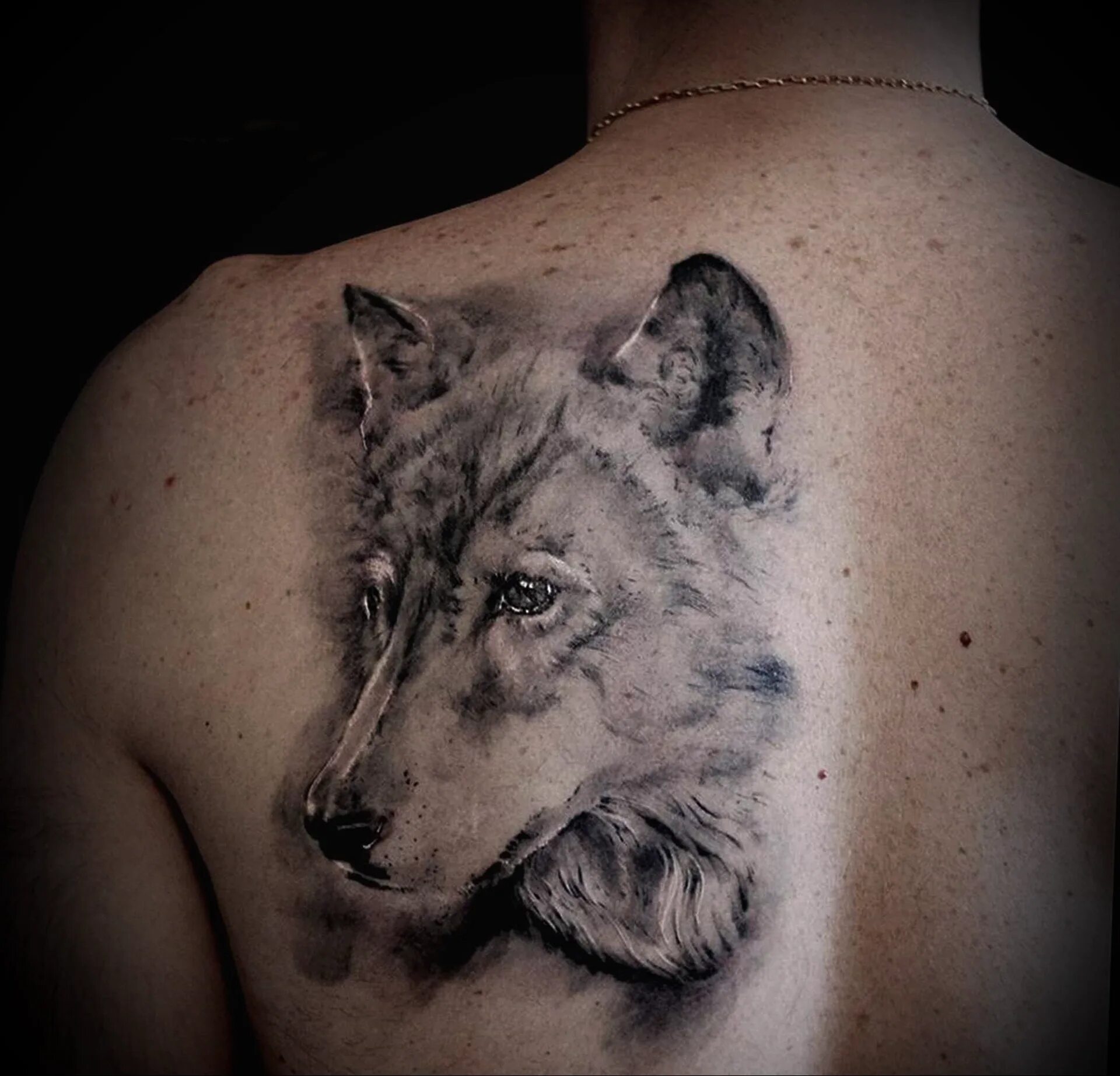 Тату волк на лопатке. Тату волк на лопатке мужские. Тату оскал волка на лопатке для мужчин. Тату волка на лопатке. Тату на лопатке волчица.
