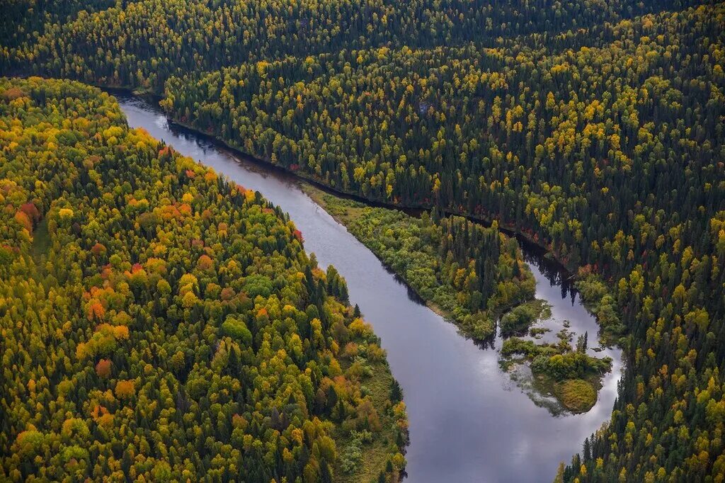 Заповедники республики коми печоро илычский заповедник. 3 нетронутых лесах. 3 нетронутых лесах. Девственные леса коми презентация. Нетронутый лес.